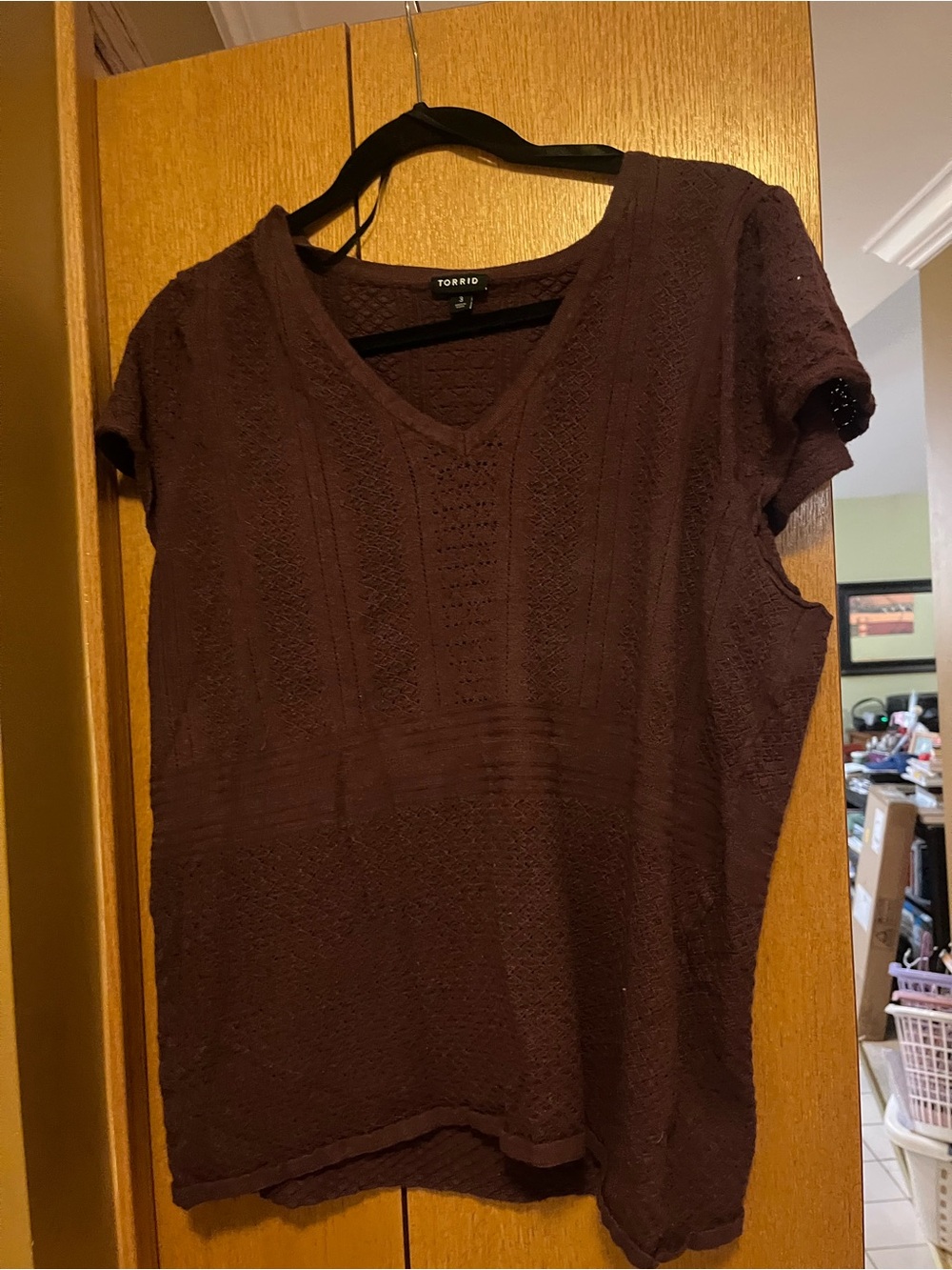 torrid Plum Short-Sleeve V-Neck Knit Top